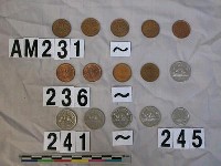 藏品(加拿大一分硬幣)的圖片